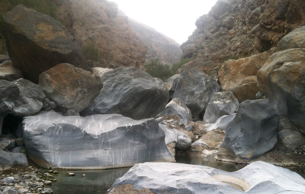 Huge limestone boulders (3 to 6 m) in the bed of Wadi Bani Ghafir in the Sidaq gorge. Photo by T. A. Johnson.