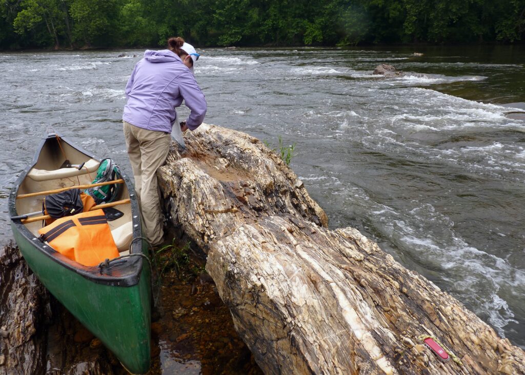 Quartzite outcrop in the James River (view to the northeast). Geologist Megan Flansburg (W&M Geology ’15) measures the orientation of geologic structures. Note my 17’-canoe for scale- more on that old river-beaten canoe in my next post.
