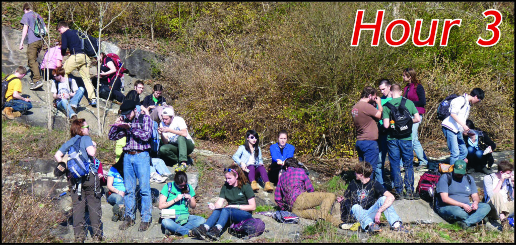 Hour 3- examining a lineated granodioritic gneiss in an old quarry at Columbia, Virginia.