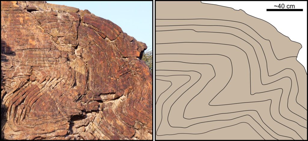crumpled strata in Oman
